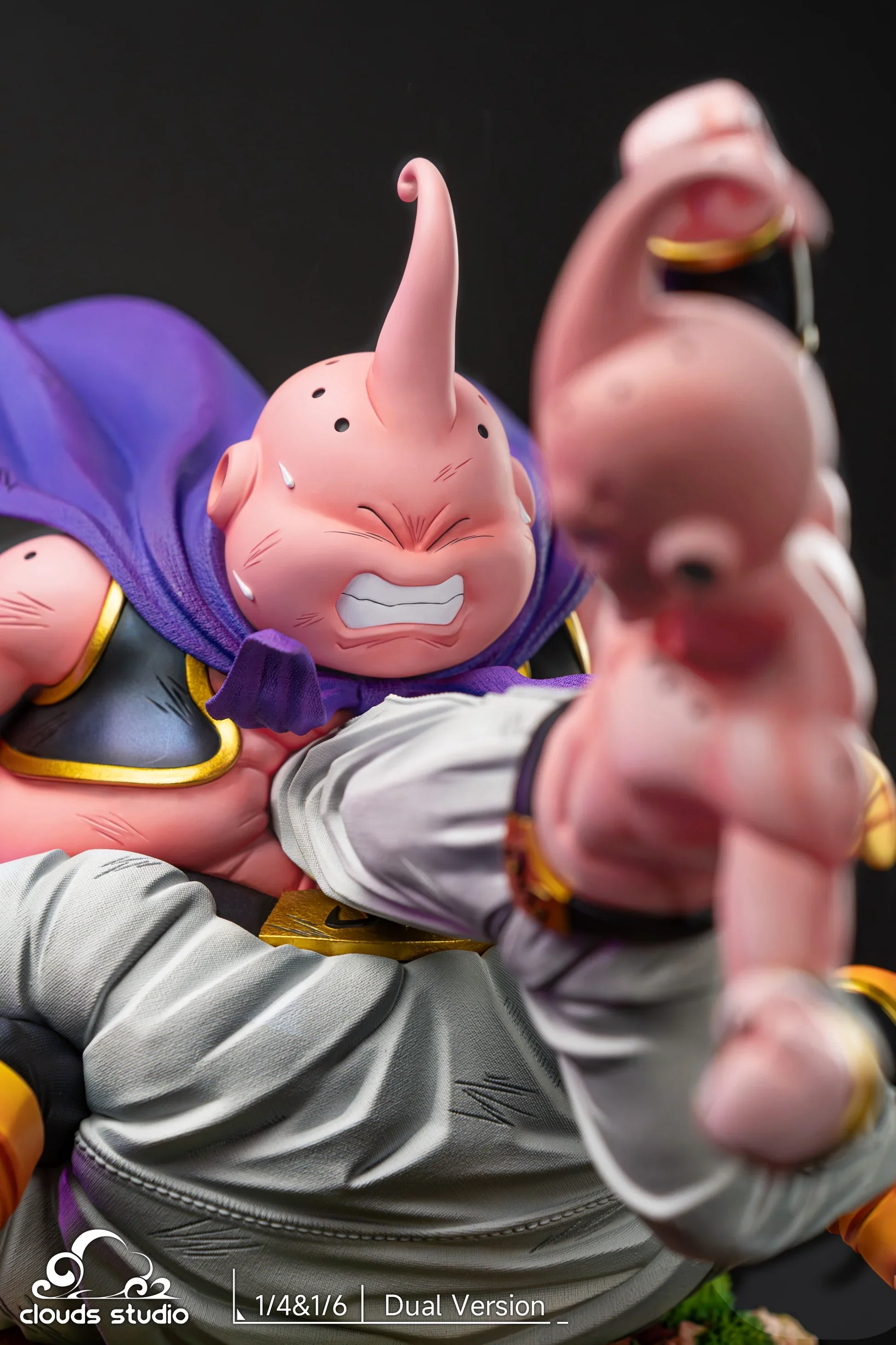 Thumbnail 12