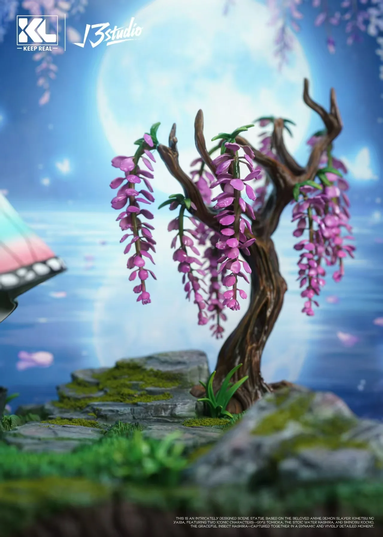 Thumbnail 11