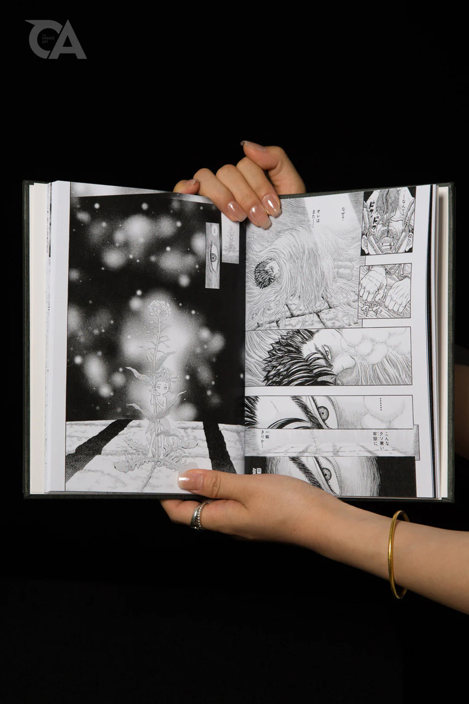 Thumbnail 13